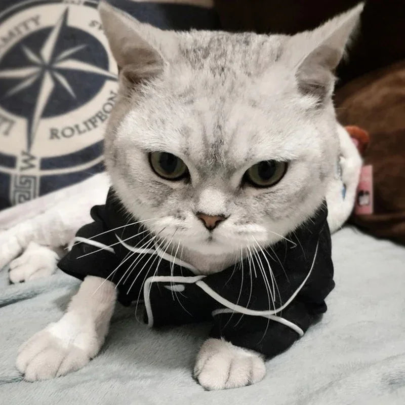 Festive Luxe Cat Hoodie
