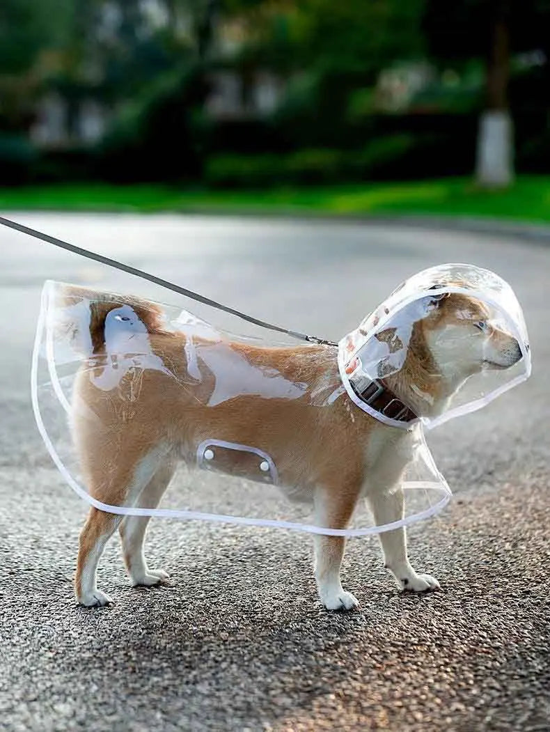 ClearWalk Transparent Dog Raincoat with Hood