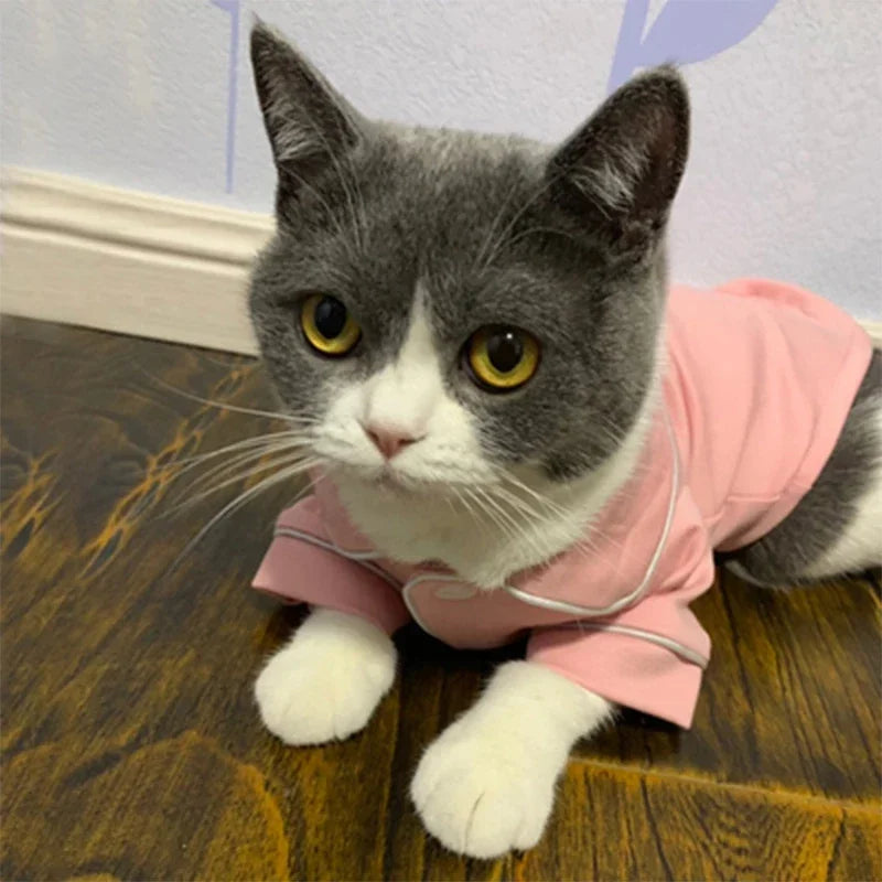 Festive Luxe Cat Hoodie