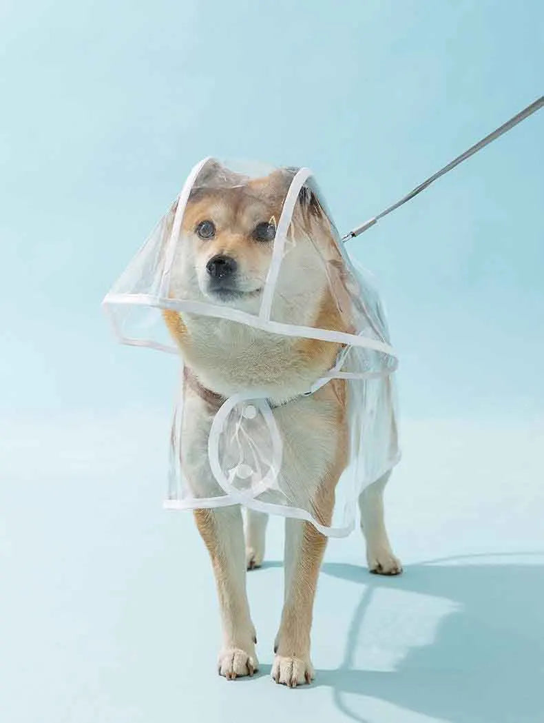 ClearWalk Transparent Dog Raincoat with Hood