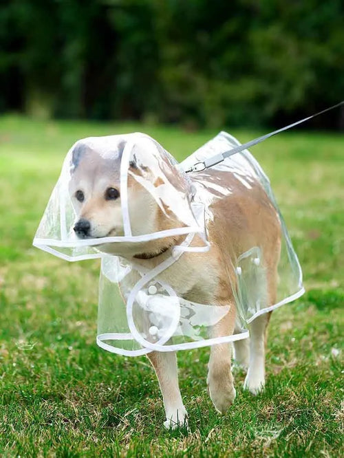 ClearWalk Transparent Dog Raincoat with Hood
