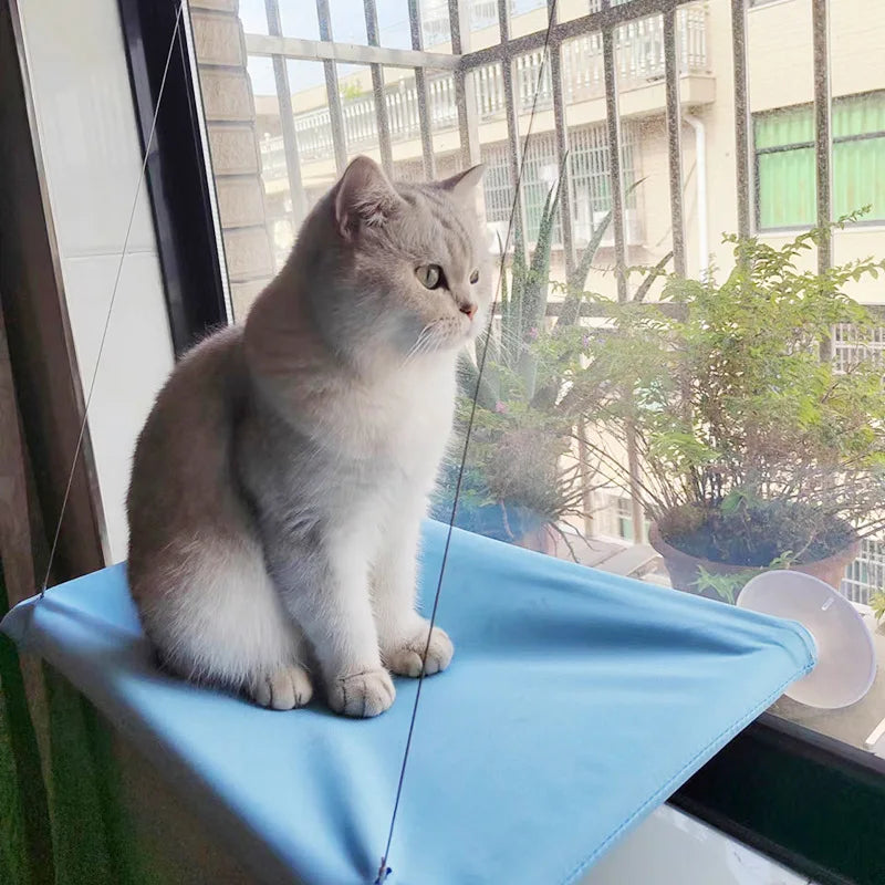 Sunny Window Cat Hammock