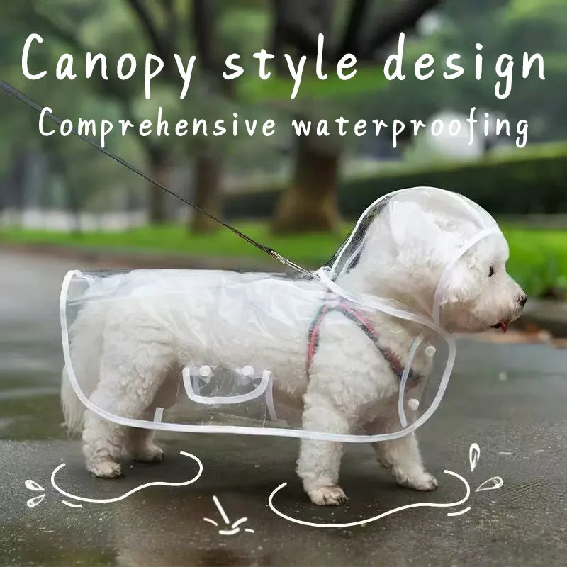 ClearWalk Transparent Dog Raincoat with Hood